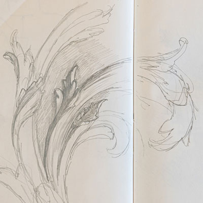 Rococo decoration, drawn by Francis Terry, pencil, 2010.