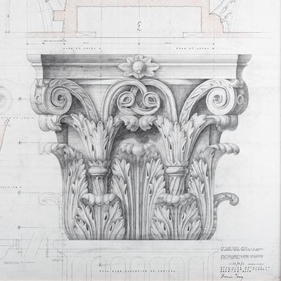 Full size working drawing of Corinthian Capital for Hanover Lodge, by Francis Terry. Pencil on tracing paper. Exhibited in the Three Classicists exhibition at the RIBA 2010.